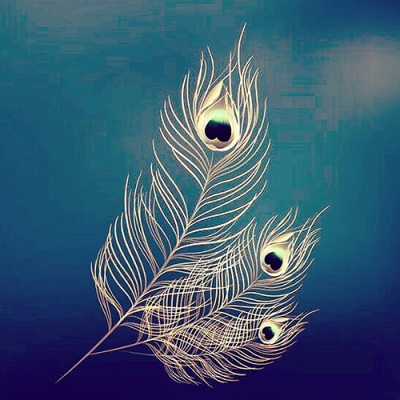 Beautiful Dp